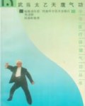 武当气功  武当太乙天鹰气功.pdf