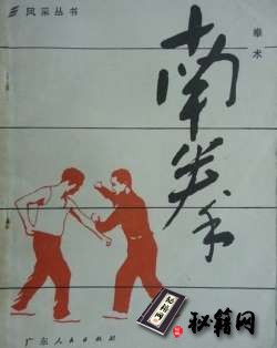 [武功秘籍]南拳拳术（曾昭胜）.pdf