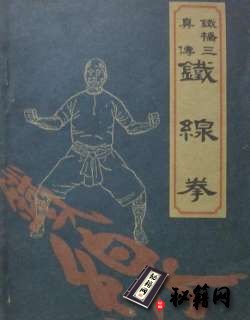 [武功秘籍]铁桥三真传铁线拳.pdf