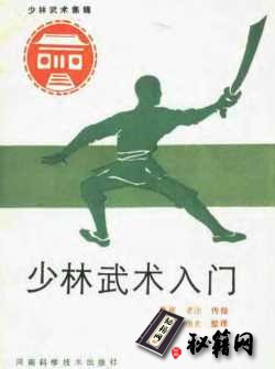 [武功秘籍]少林武术入门（德虔）.pdf