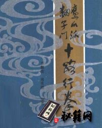 [武功秘籍]鹰爪派翻子门十路行拳.pdf