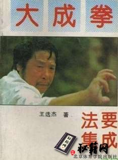 [武功秘籍]大成拳法要集成（王选杰）.pdf