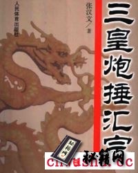 《三皇炮捶汇宗》张汉宗.pdf  传入北京巳有一百五十多车历史的三皇炮捶